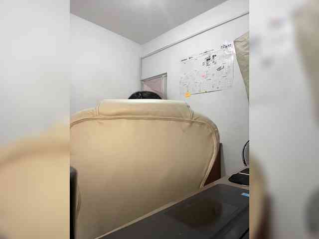 angie-e webcam