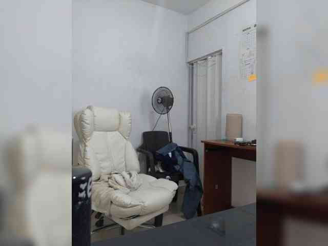 angie-e webcam