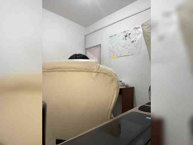 angie-e webcam