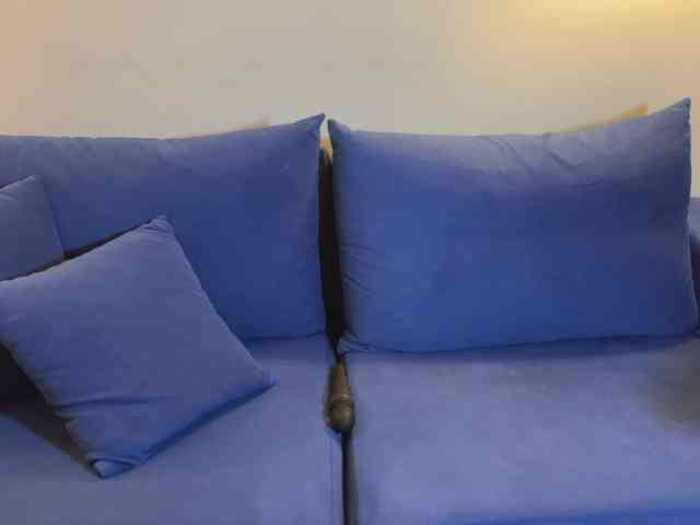 Vikamoon webcam