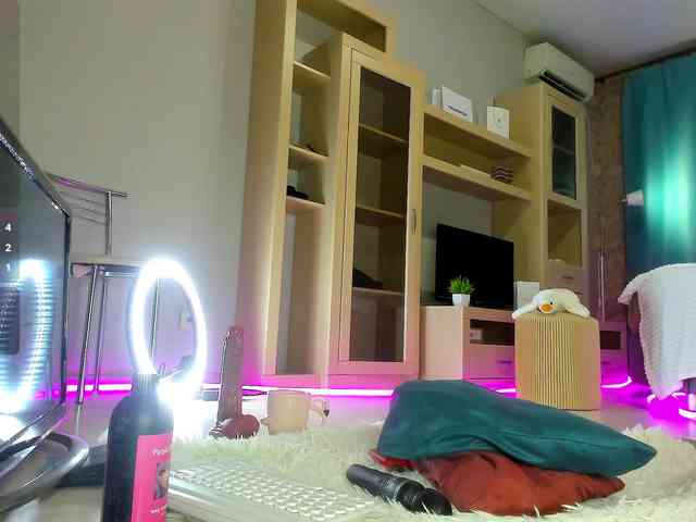 Milla-mi webcam