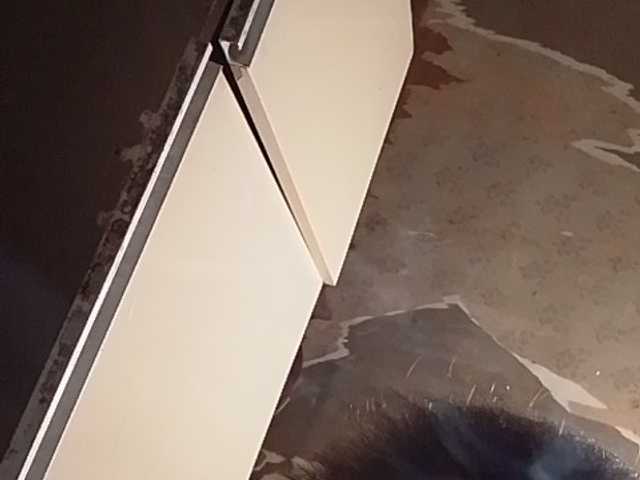 Denciiik