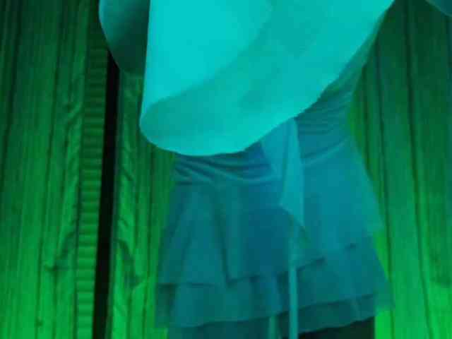 Model: PeaceDance