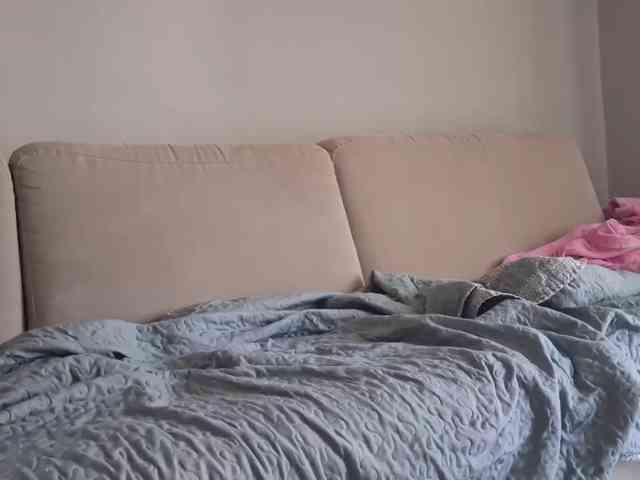 PeaceDance webcam