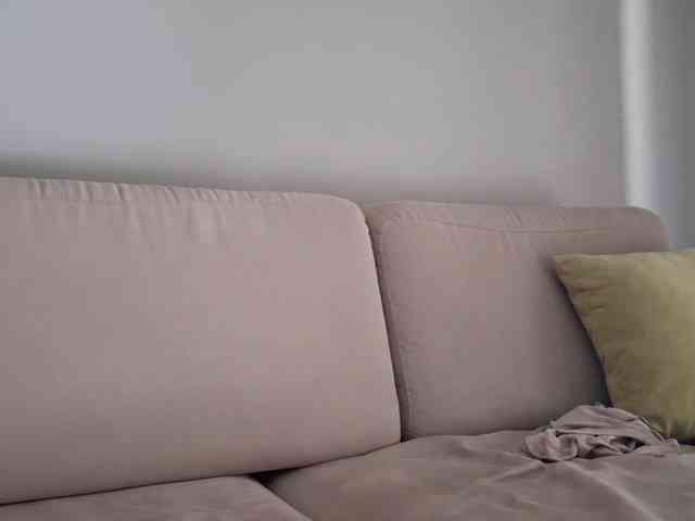 PeaceDance webcam