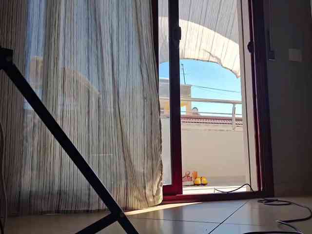 PeaceDance webcam
