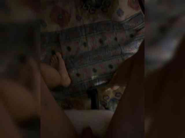 Foxi24