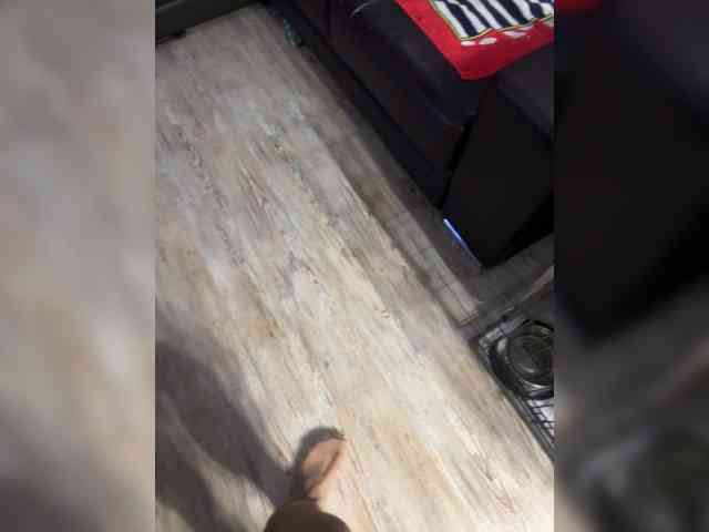 Foxi24 private