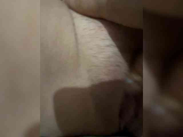 Foxi24