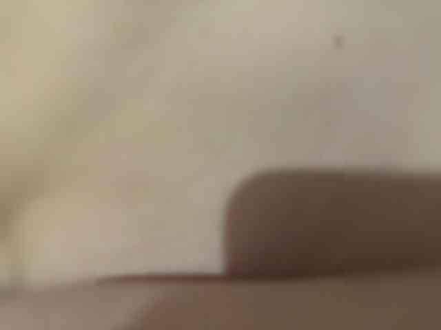 Foxi24