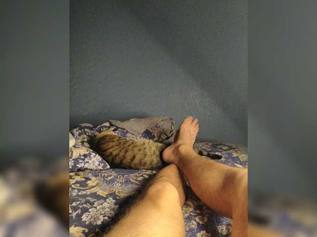 Alex76311