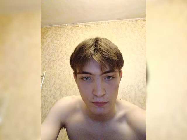 Divady