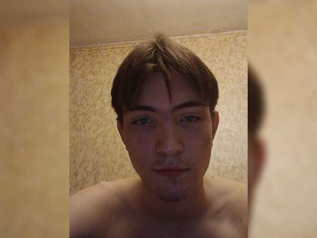 Divady