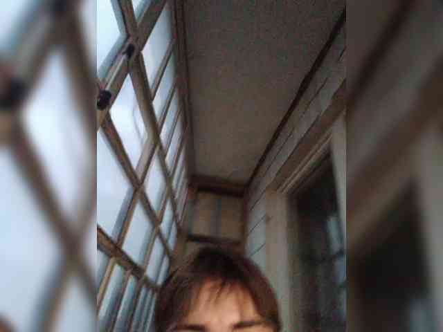 Divady