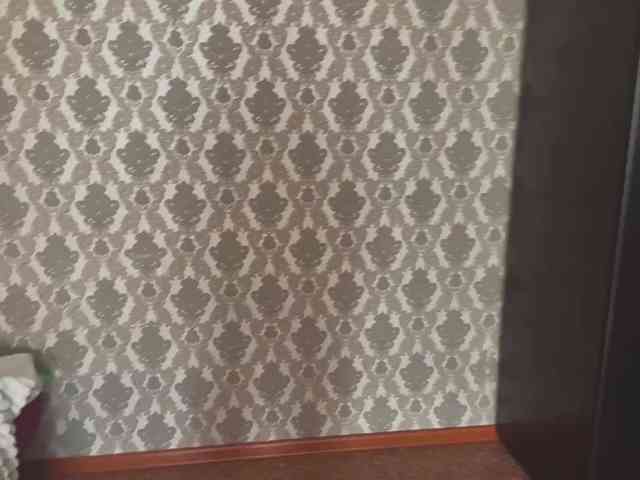 aracelybucheli's live room
