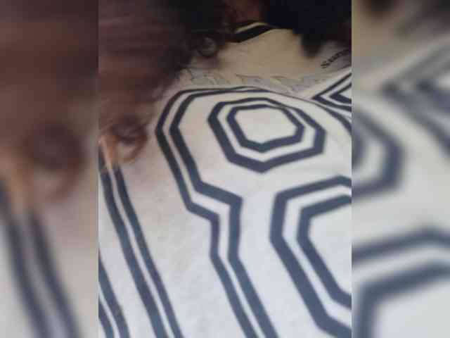 TheAlieh