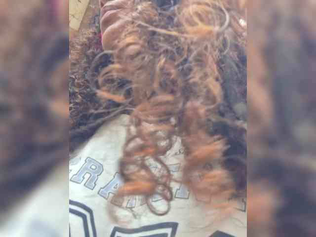 Modelo: TheAlieh