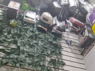 Sunyferrer Porn Show