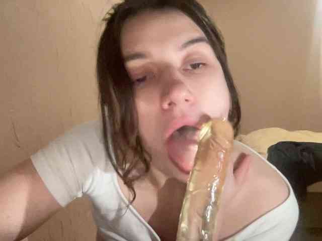 evawrong webcam