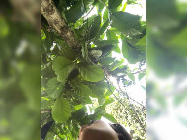 Lovexynh