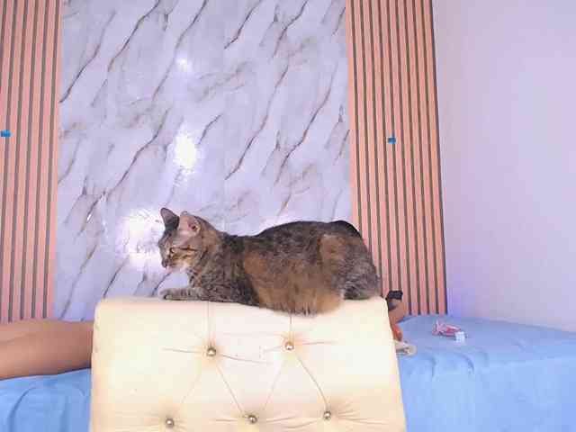 Kiley-luz