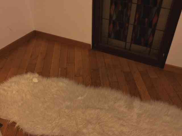 Natural-Mary live female cam on bongacams