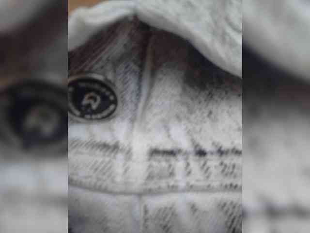Alisson-Grey webcam