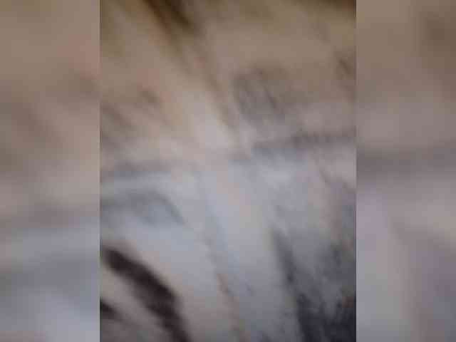 Alisson-Grey