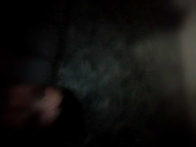 Alfachonok21