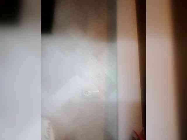 Alfachonok21