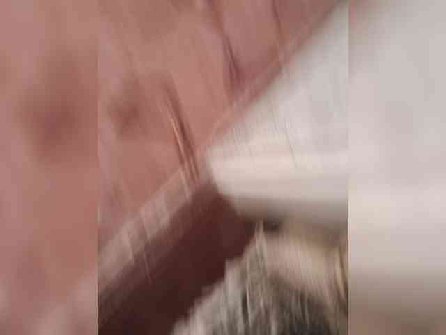 Semiel webcam