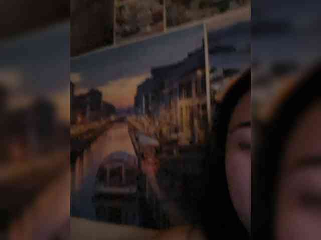 Semiel webcam