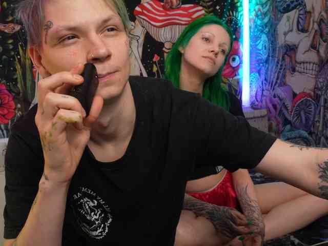 opp-stopper webcam