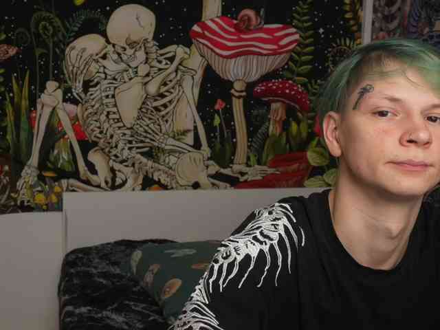 opp-stopper webcam