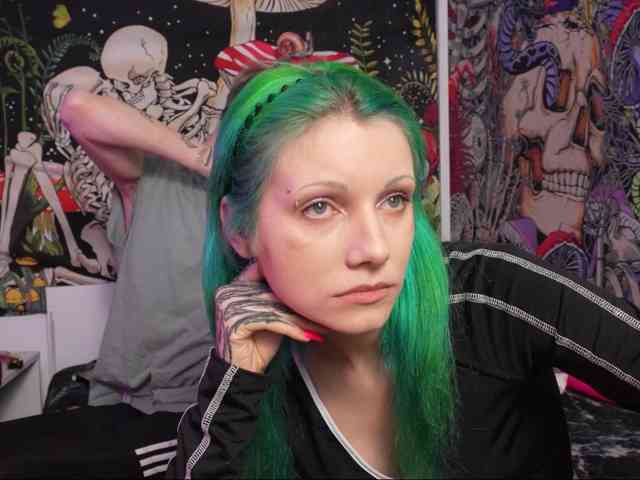 opp-stopper webcam