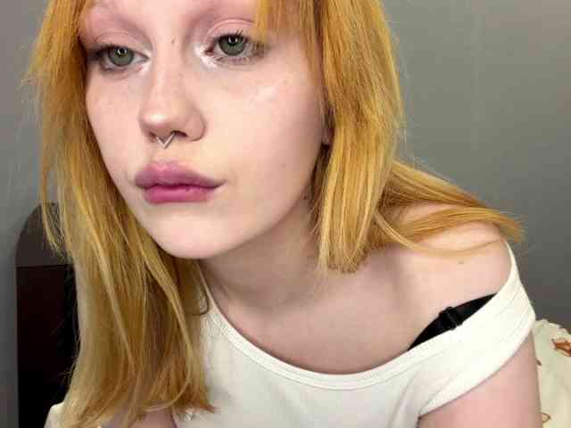 Lemontreee webcam