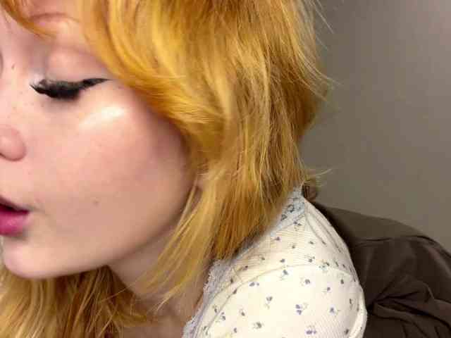 Lemontreee webcam