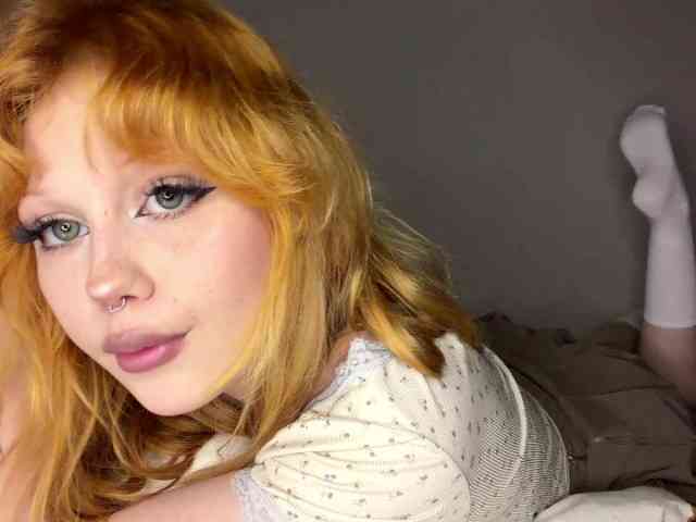 Lemontreee webcam