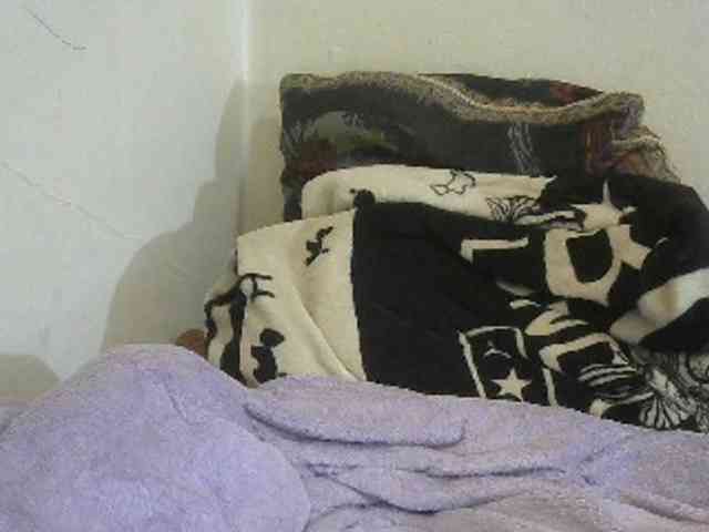 Anitahw webcam