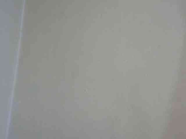 Anitahw webcam