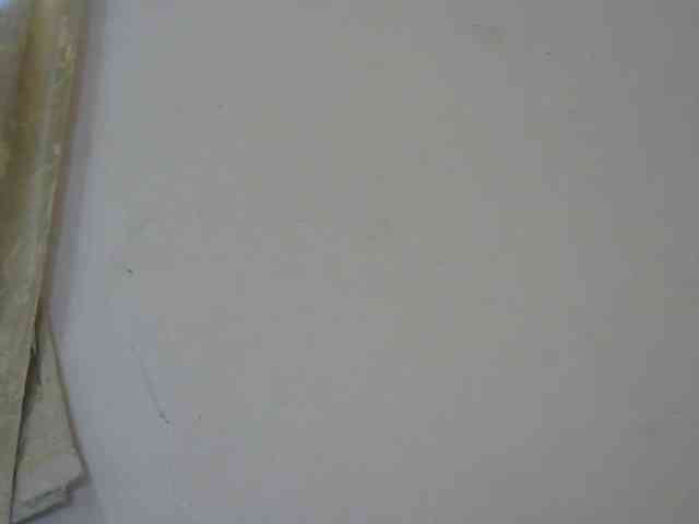 Anitahw webcam