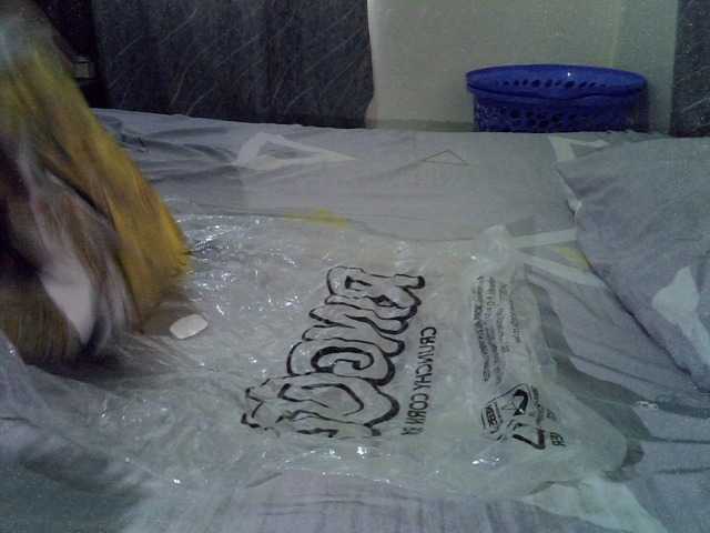 Cumpiee