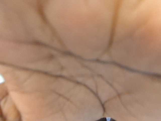 Makaylah