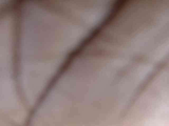Makaylah webcam