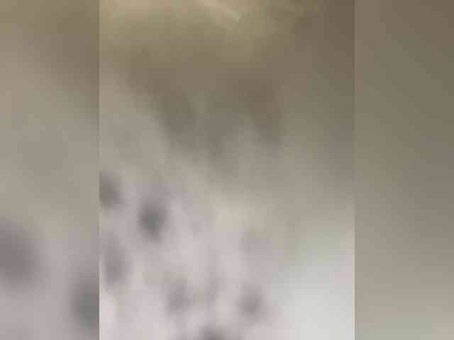 Margo--1 webcam