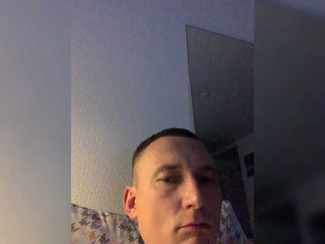 belka-wolf1