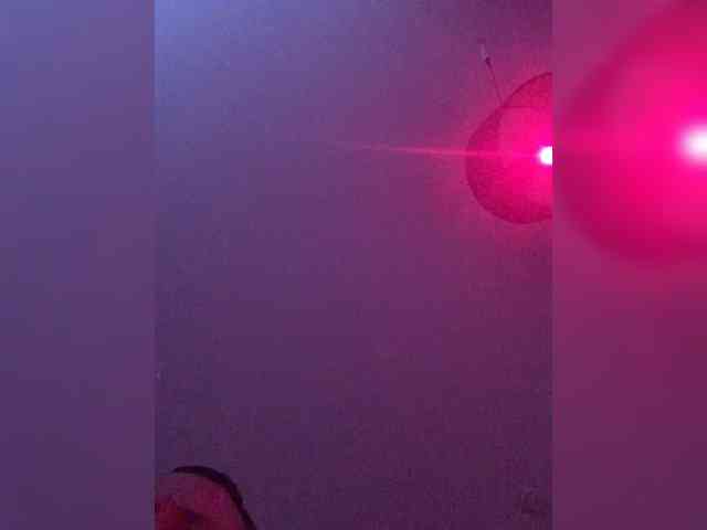 belka-wolf1 webcam