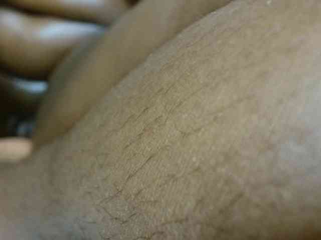 Lyravee1 webcam