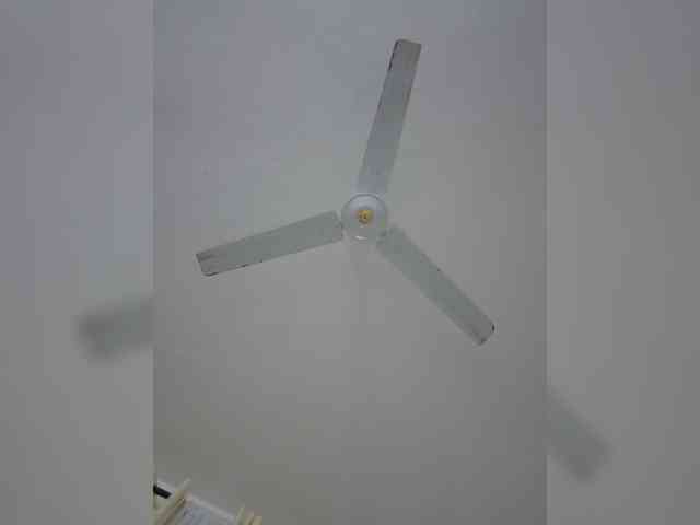 LaMermaidX webcam