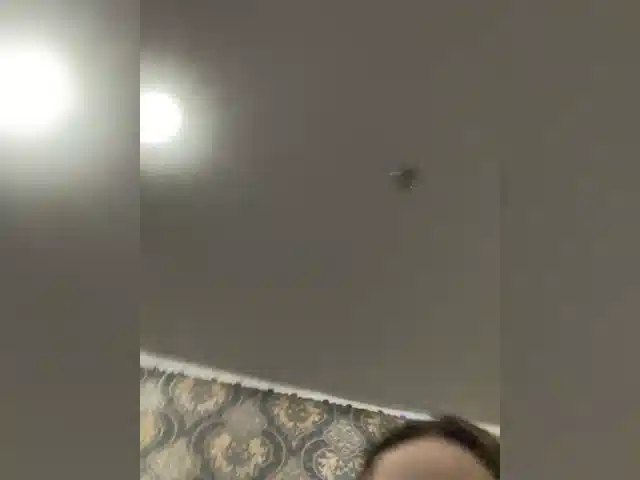 Anji29